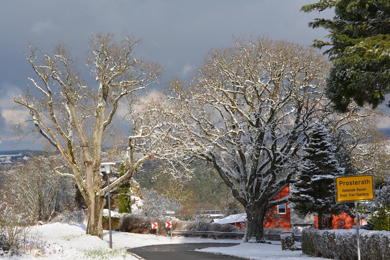 B&B Prosterath-Hochwald Exteriör bild